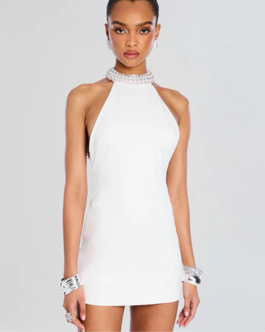 Retrofete Penelope Dress - Image 4