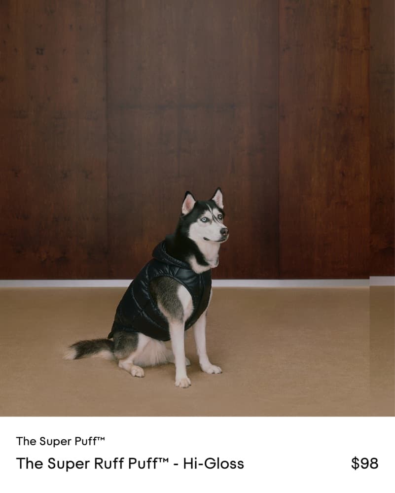 DOG - Aritzia Dog Super Puff (XL) - Image 3