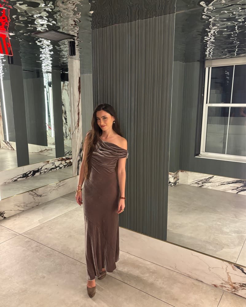Reformation Elvie Velvet Dress - Image 5