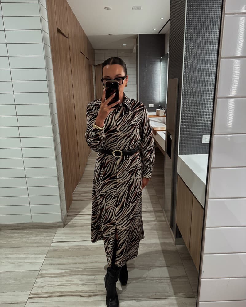 Zara Zebra Dress - Image 1