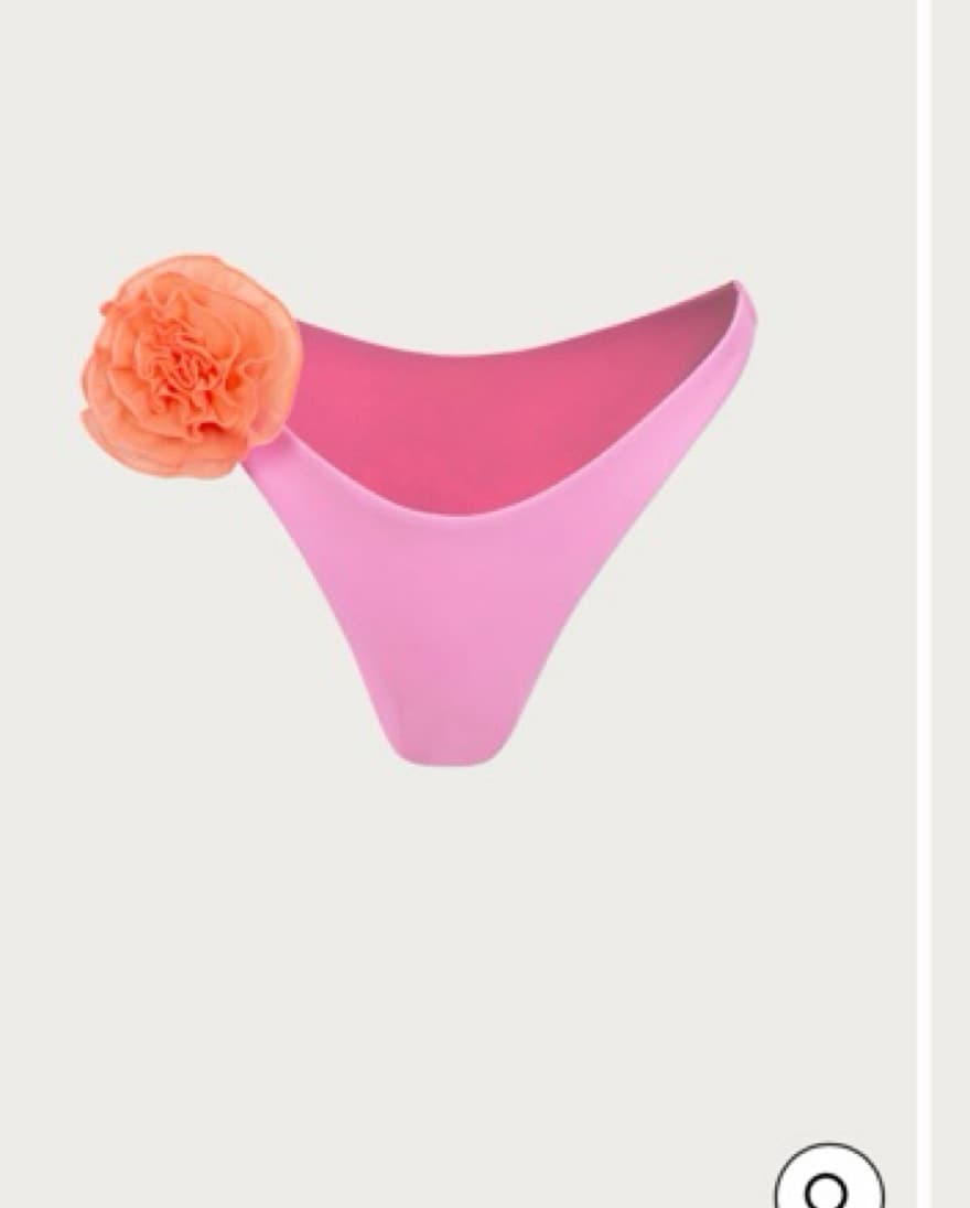 Same Pink Bikini - Image 3