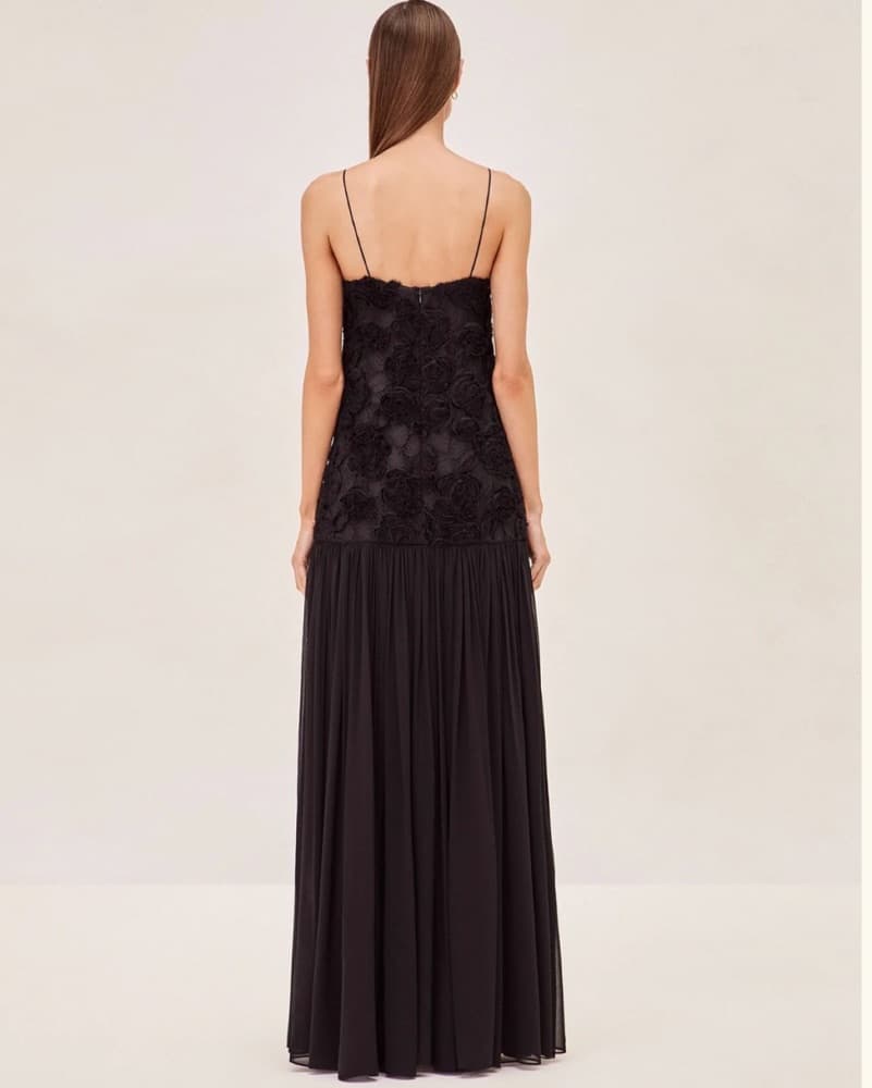 Alexis Natalia Black Drop Waist Gown  - Image 3