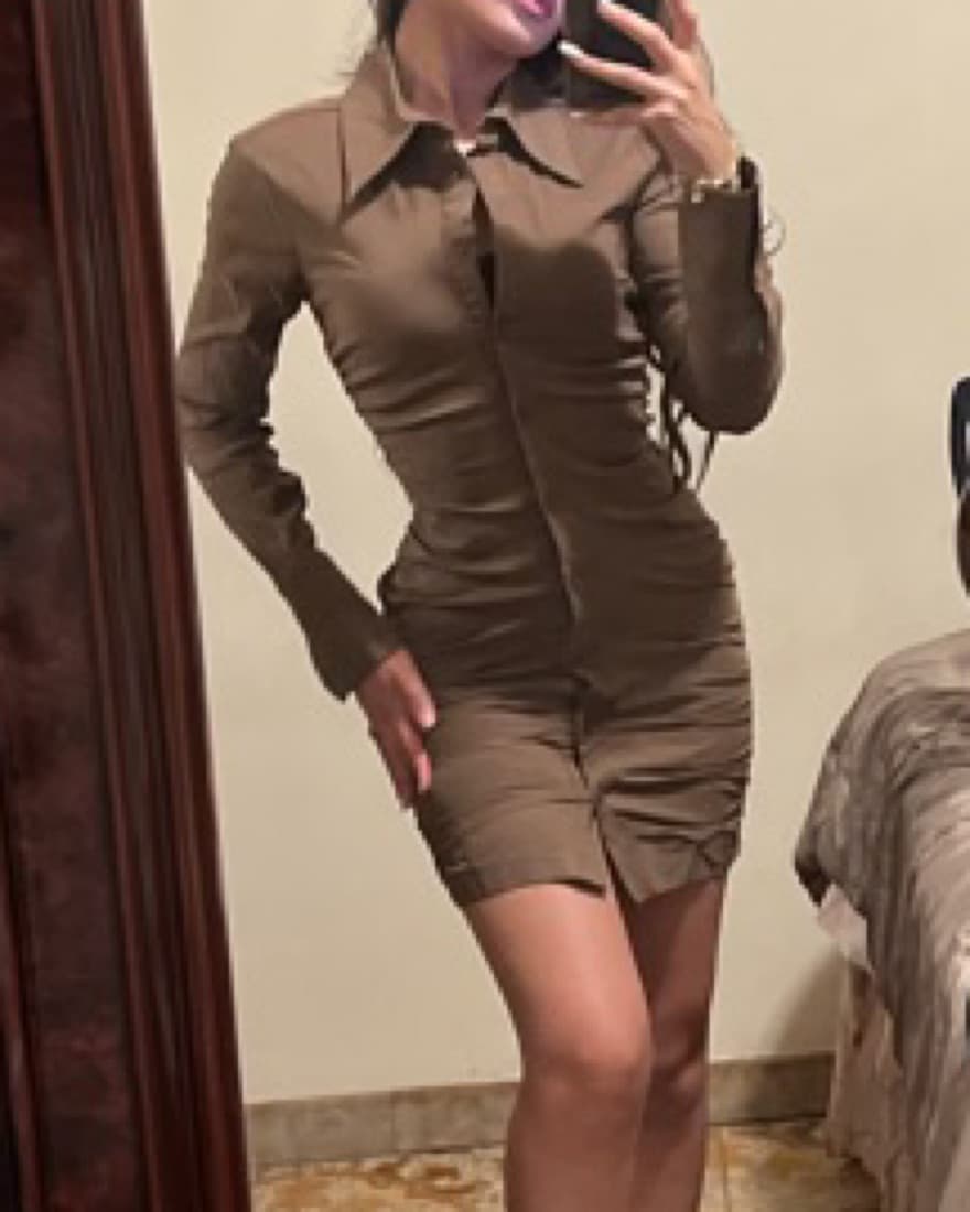 Zara Brown Dress - Image 1
