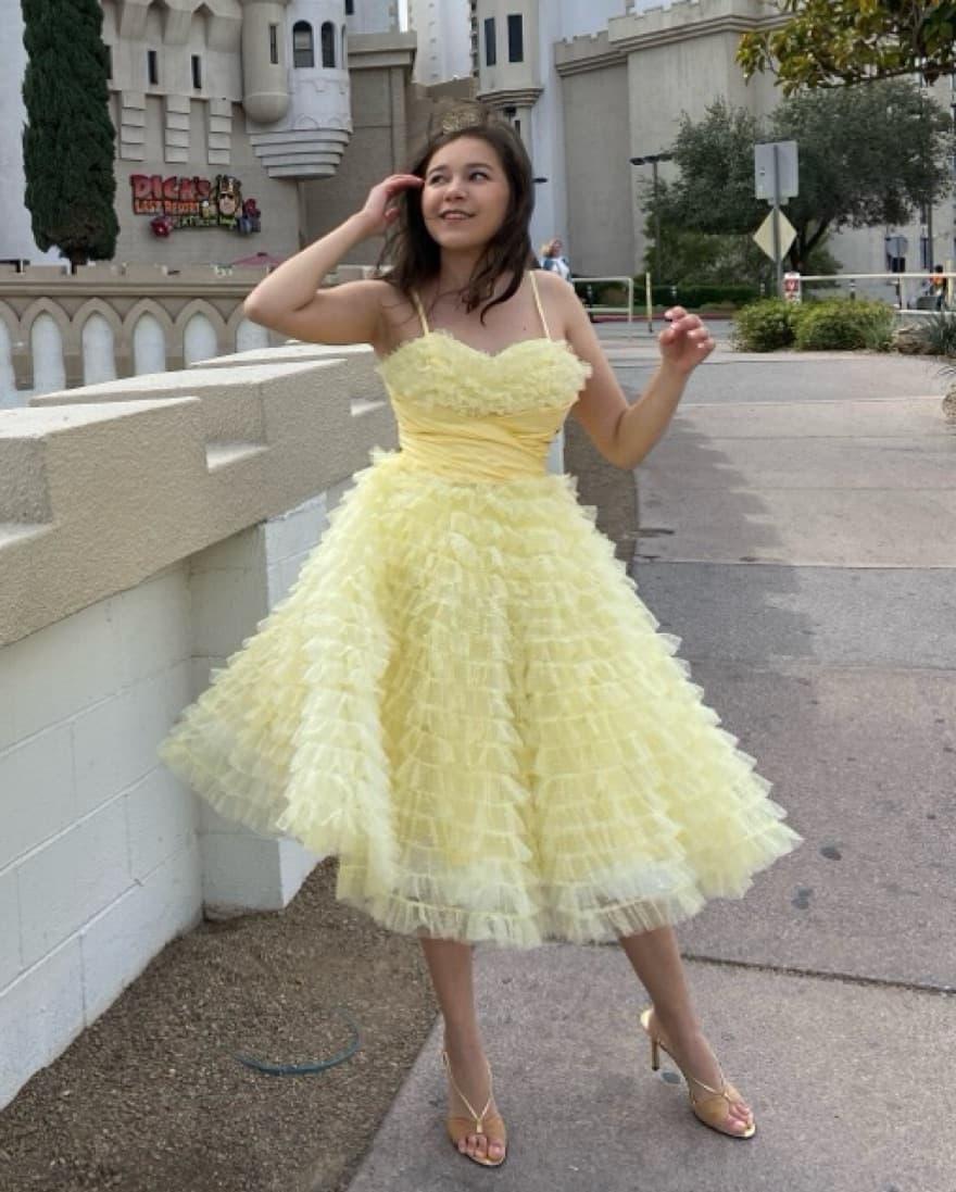 Cupcake Swing Dress - Image 3