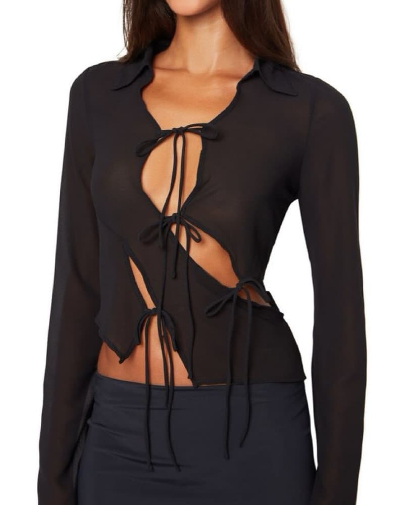 Guizio Sheer Tie Blouse - Image 1