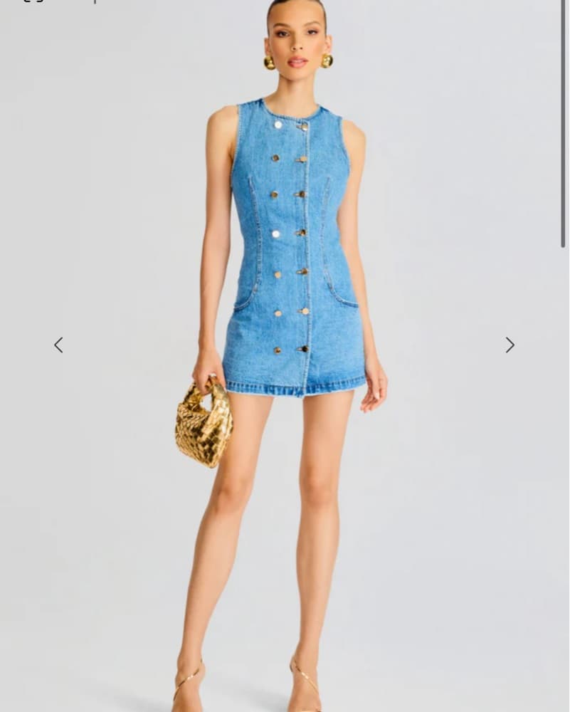 Retrofete Hanna Dress - Image 1