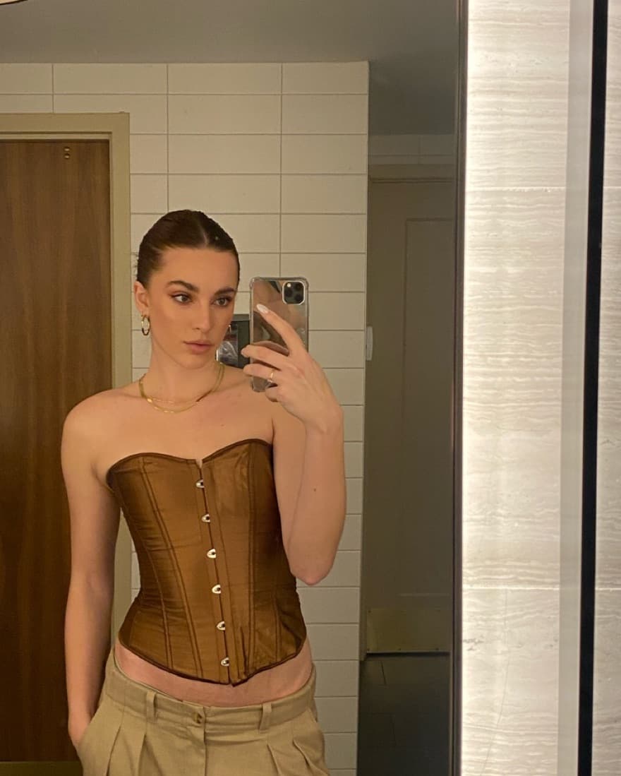 Brown Silk Corset - Image 1