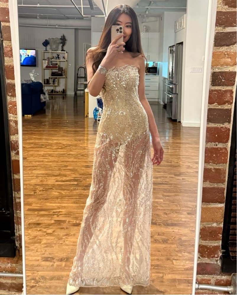 $700 Sid Neigum Sheer Sequin Maxi Dress XS/S - Image 3