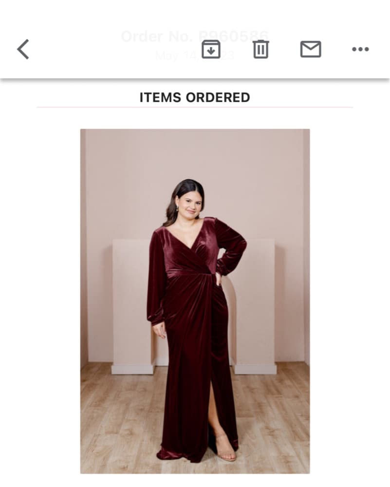Revelry Burgundy Velvet Dress - Image 1
