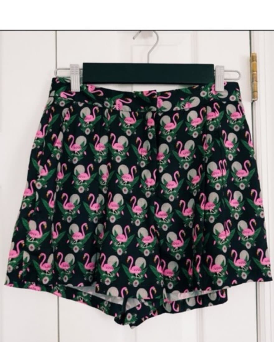 Brooklyn Industries Silky Shorts - Image 2