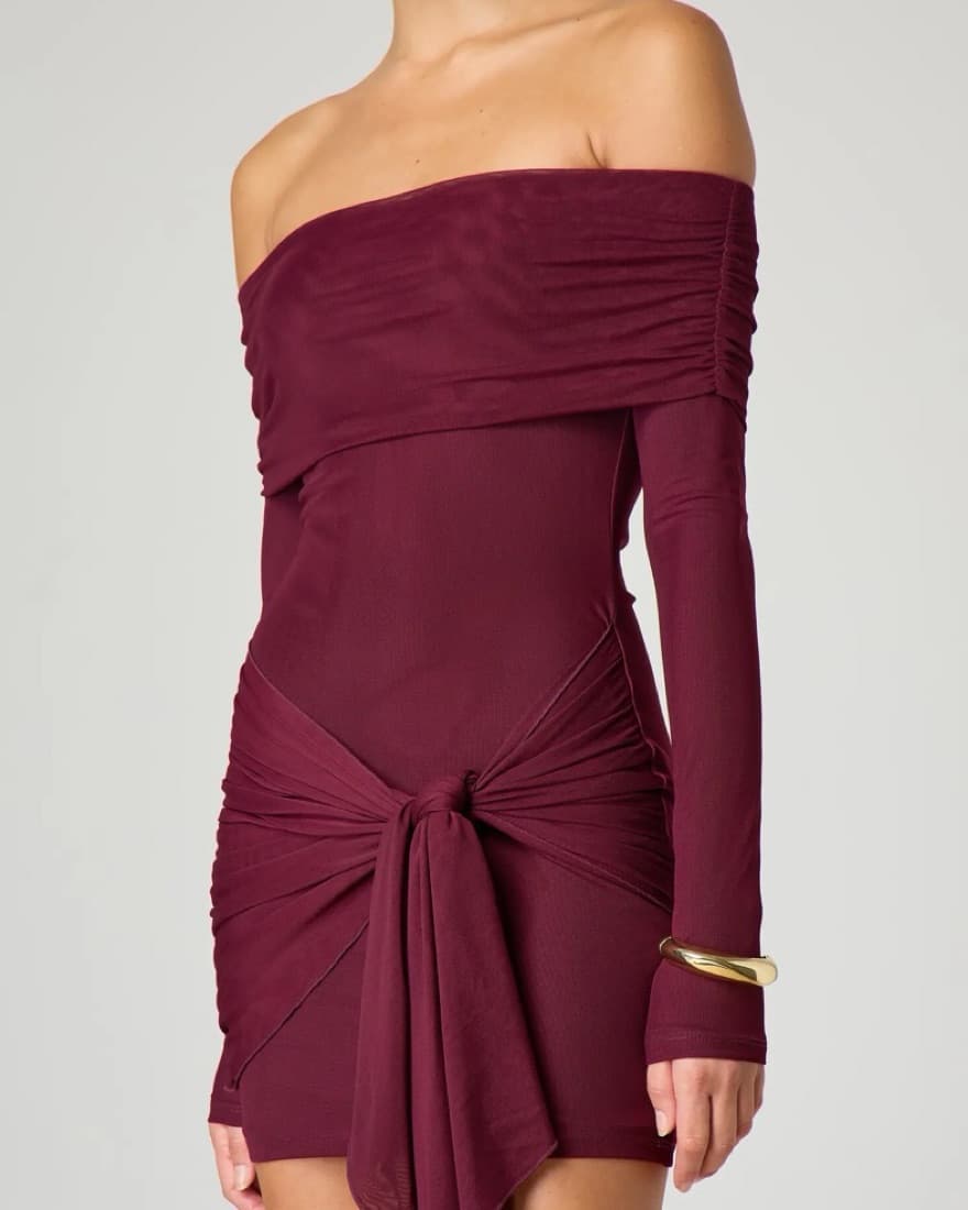 Glassons Burgundy Mesh Tie Mini Dress - Image 4