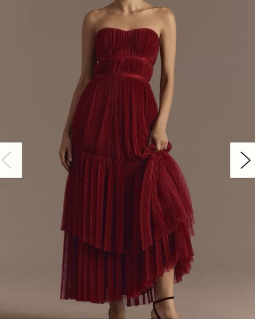 Wine Red Hutch Tulle Renza Dress - Image 1