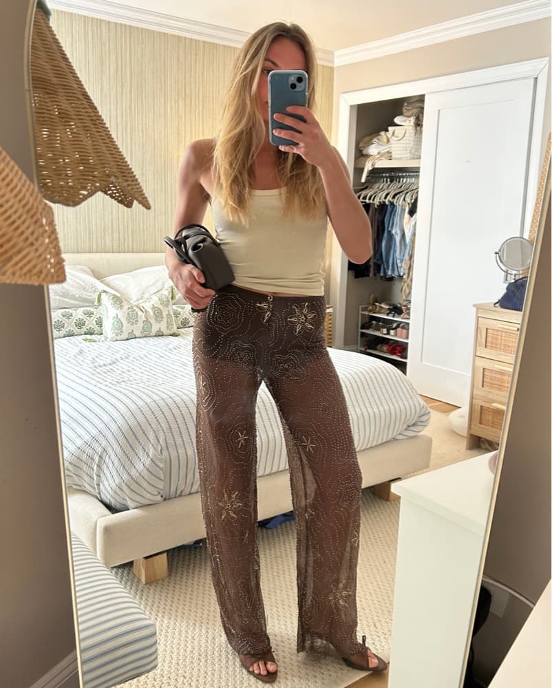 Zara Brown Sheer + Embellished Pant - Image 3