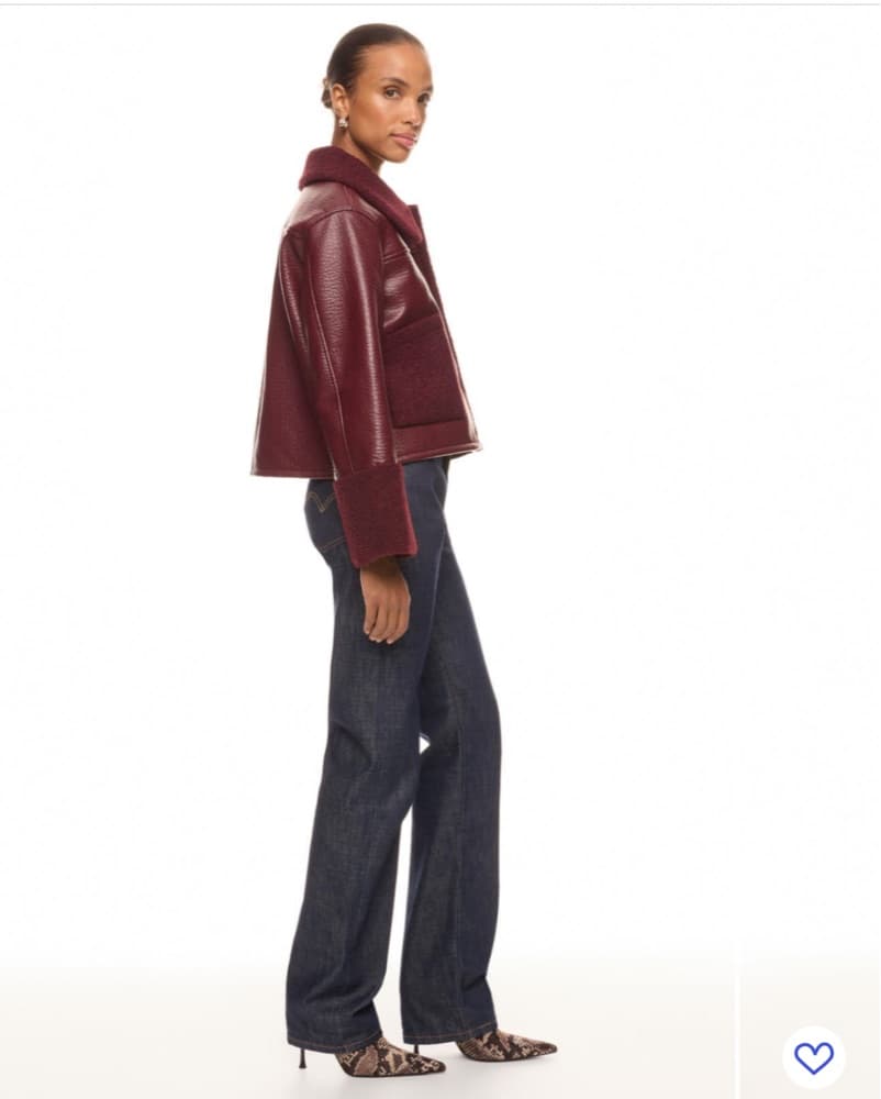 Dria Shearling Jacket - Image 3