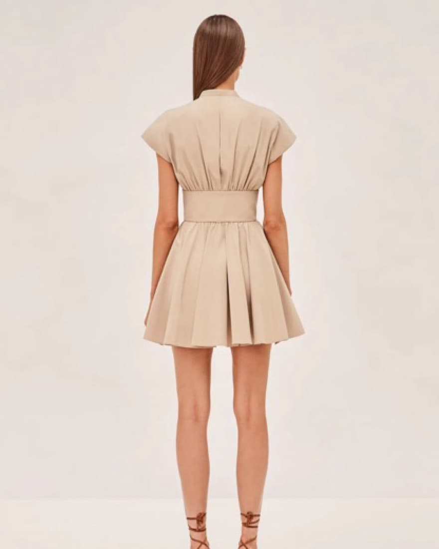 Alexis luka Dress | Corset Mini Dress - Image 2