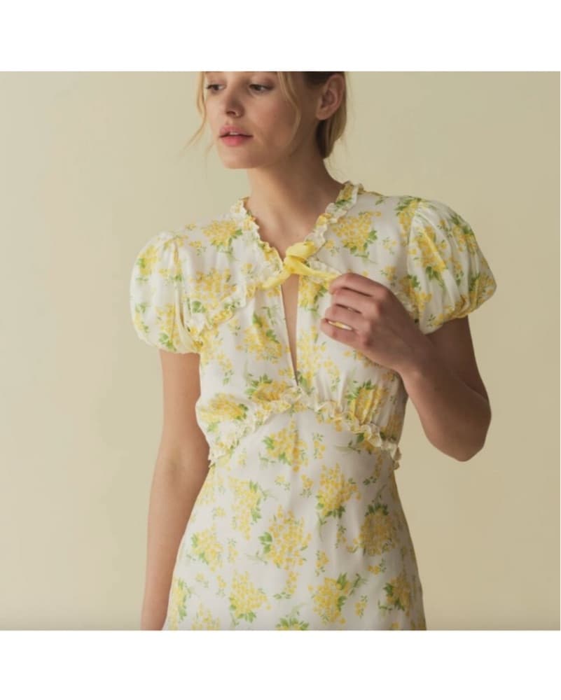 Doen orianna dress - Image 4