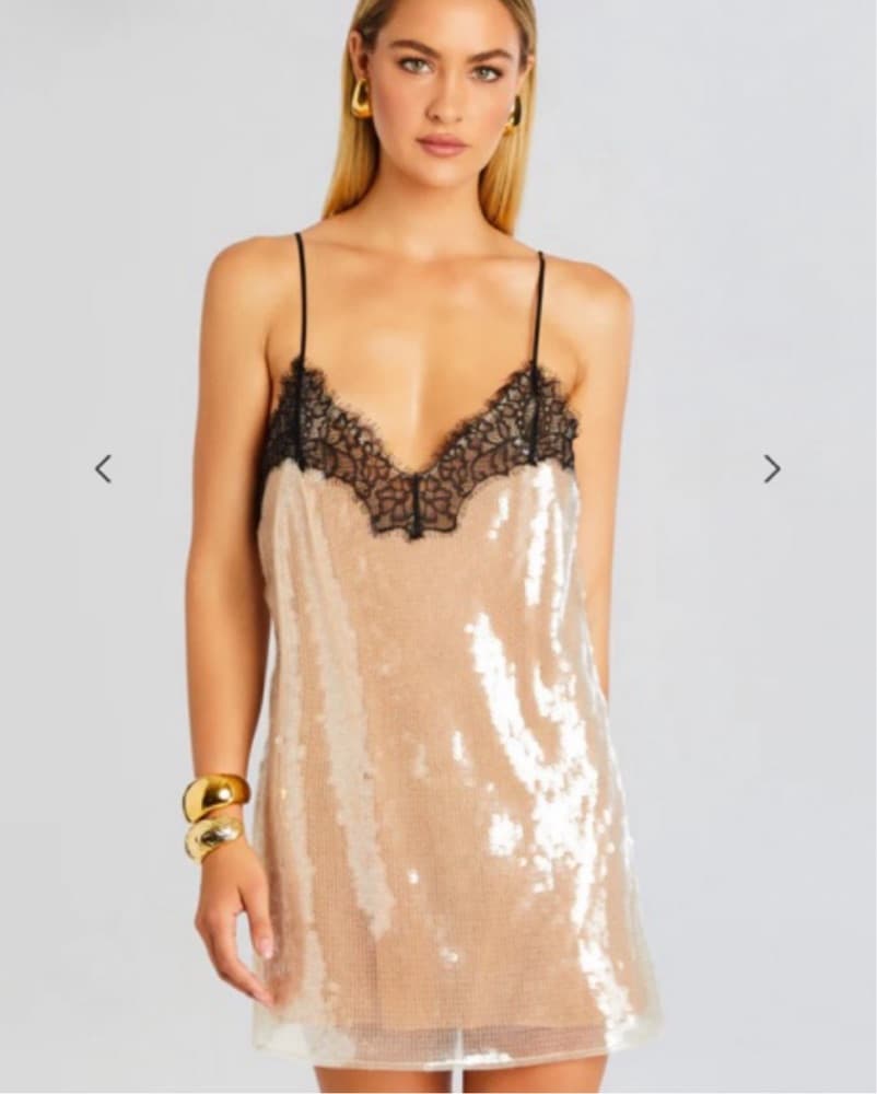 Retrofete Dress - Image 3