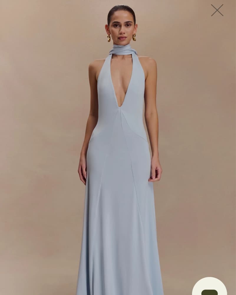 Sleek Backless Halter Gown - Image 1
