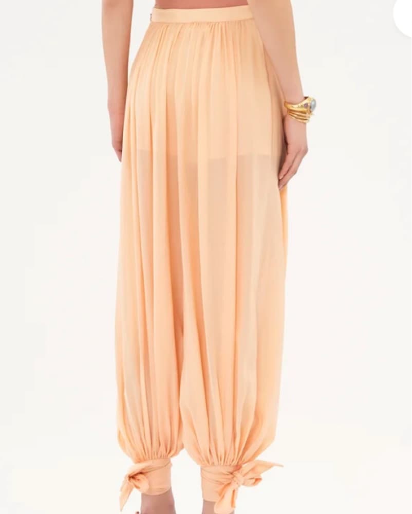 Chloe Fluid Pleated Pants - Image 4