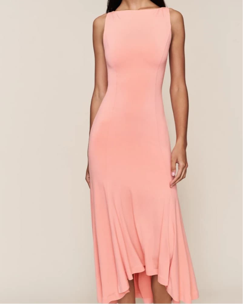 Guizio Coral Midi Dress - Image 1