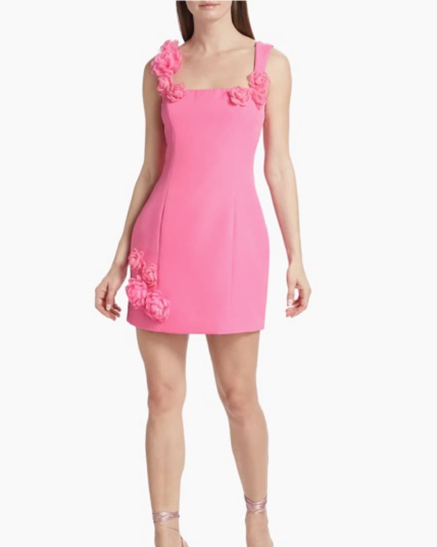 Elliatt Pink Floral Applique Dress - Image 1