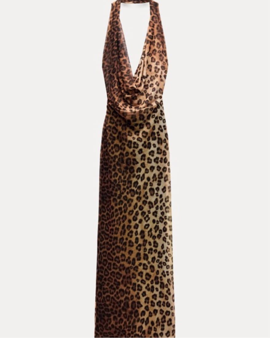 Zara Leopard Print Long Dress - Image 5