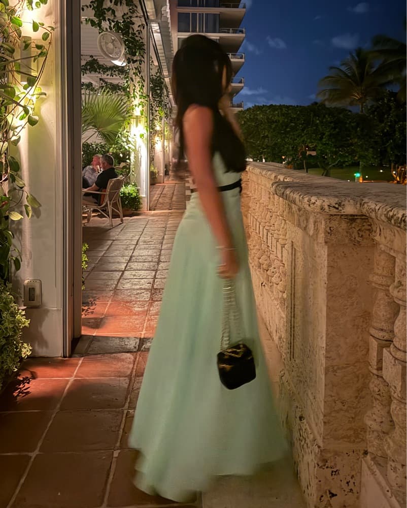 HELSA Silk Chiffon Halterneck Dress - Image 4