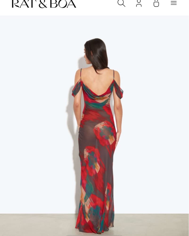 Vibrant Rat & Boa Sheer Maxi Dress - Image 2
