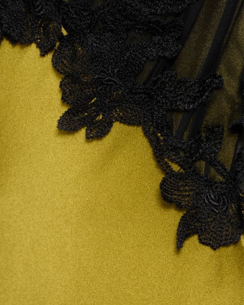 ALBERTA FERRETTI SATIN LACE LONG DRESS - Image 7