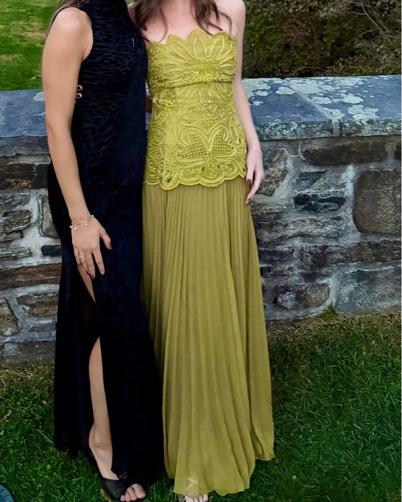 Arrange Chartreuse Gown - Image 3