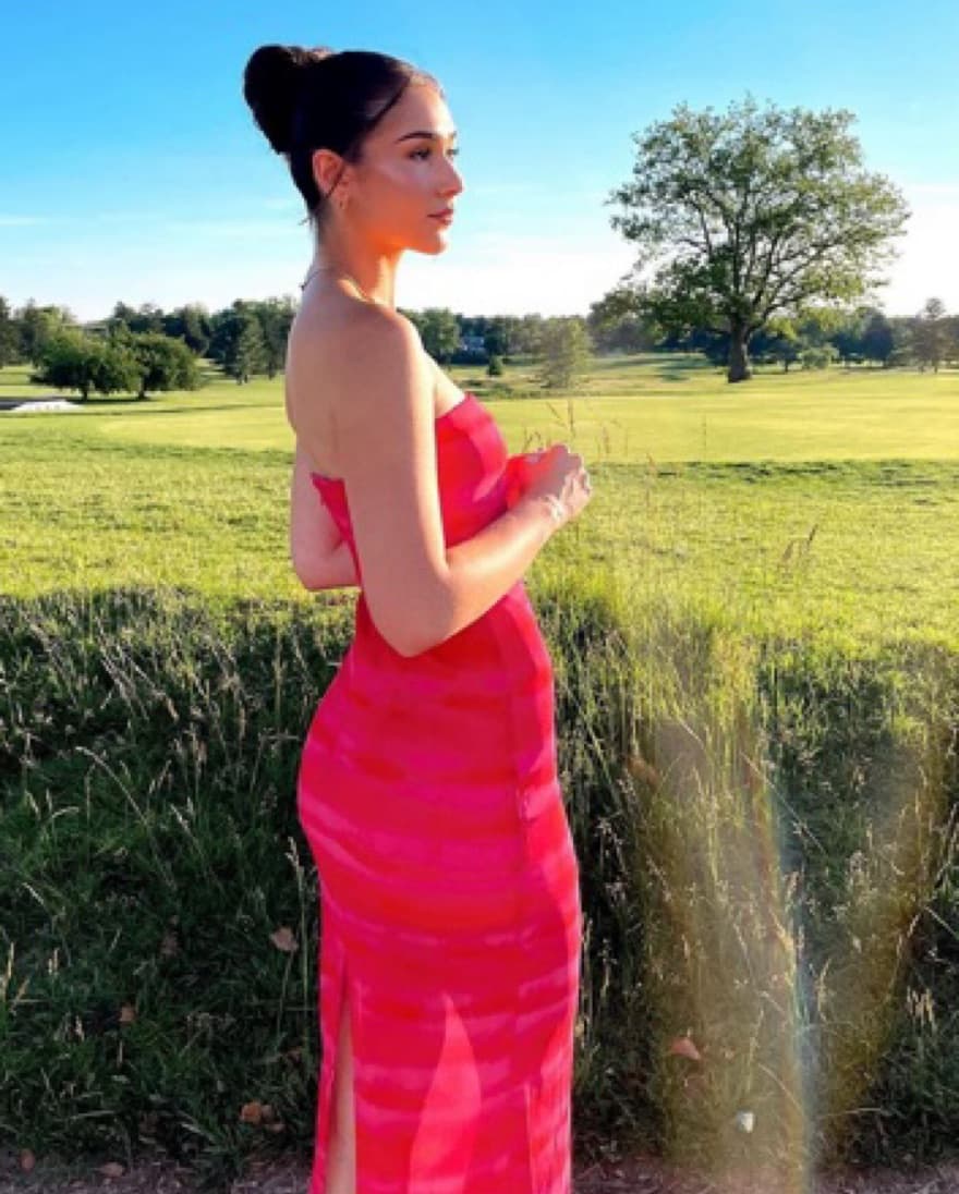 h:ours Rios Maxi Dress  - Image 4