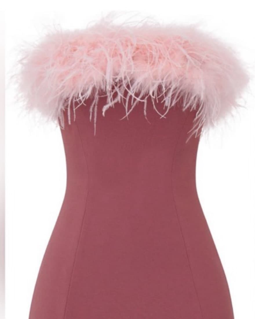 HOUSE OF CB Alexa Feather Strapless Mini - Image 3