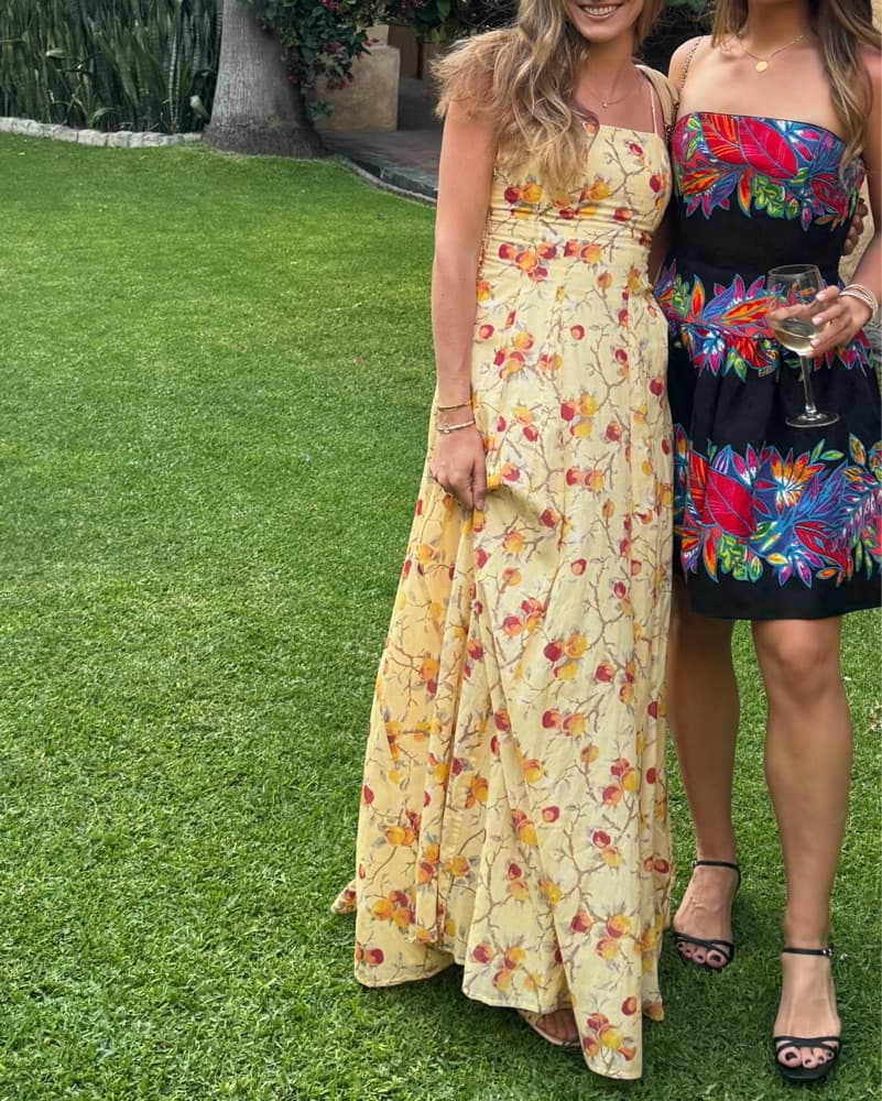 Posse Paloma Printed Maxi Dress - Image 2