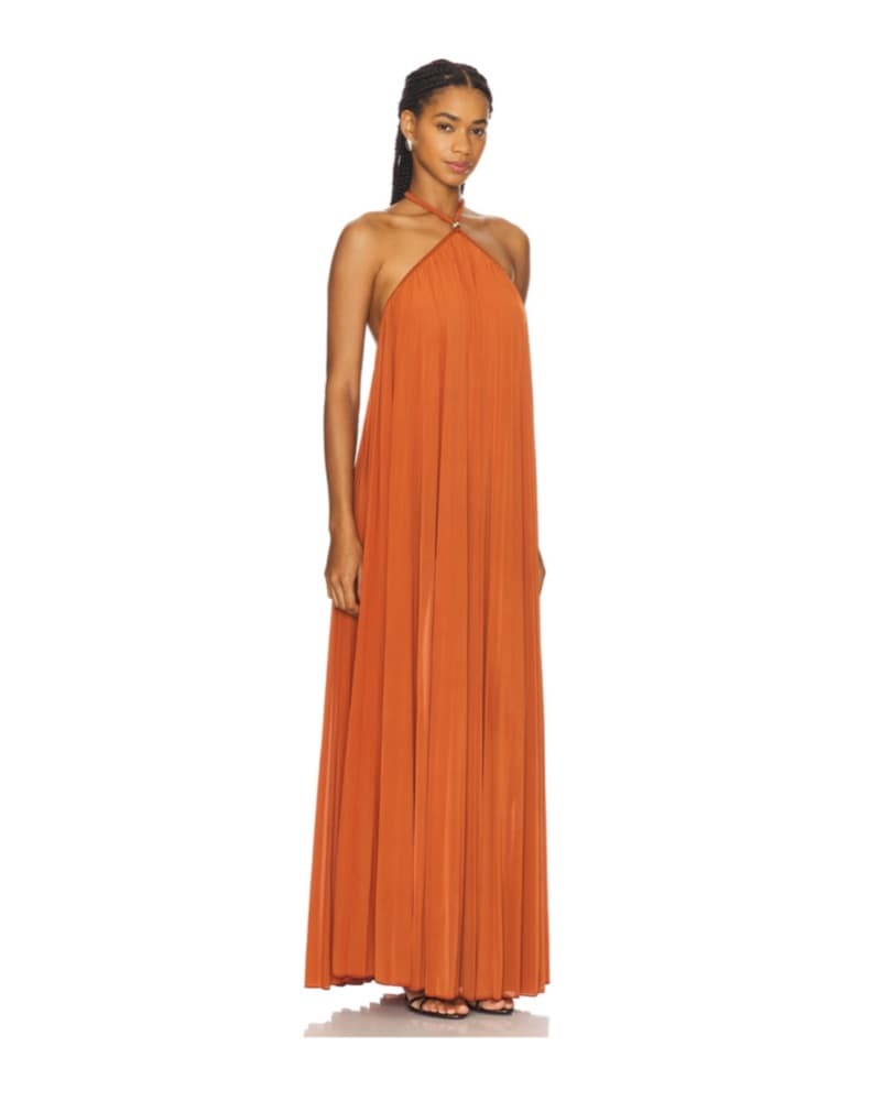 Ronny Kobo Orange Maxi Dress - Image 1