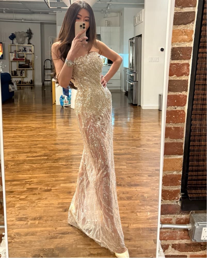 $700 Sid Neigum Sheer Sequin Maxi Dress XS/S - Image 5