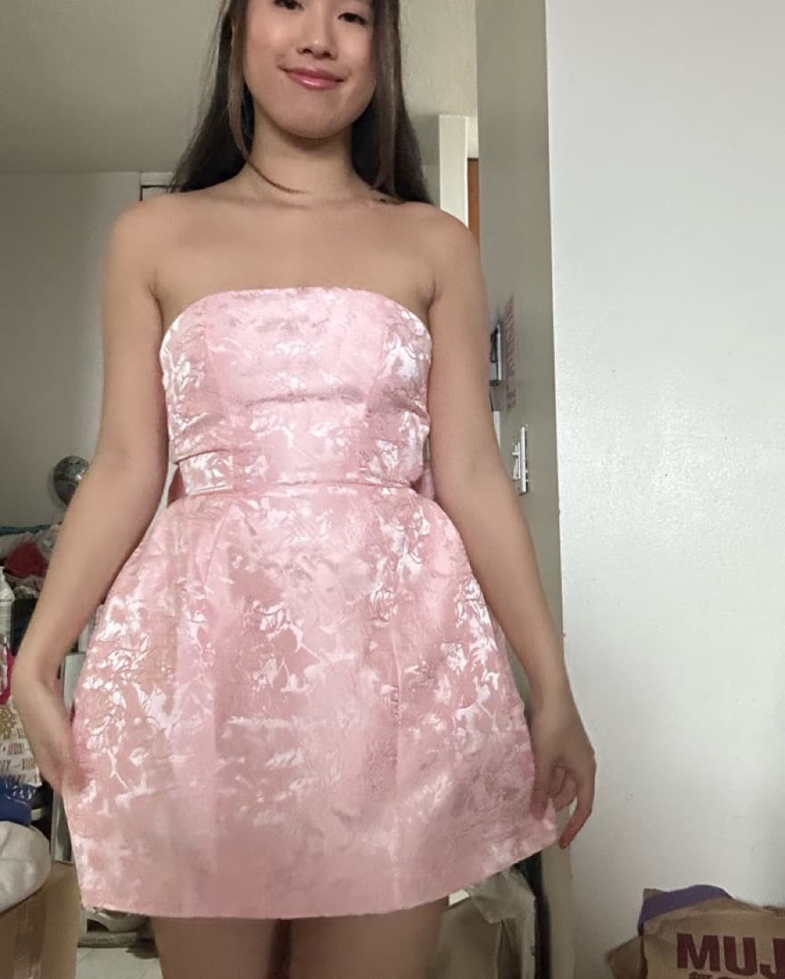 ELENORA MINI DRESS - BLUSH - Image 6