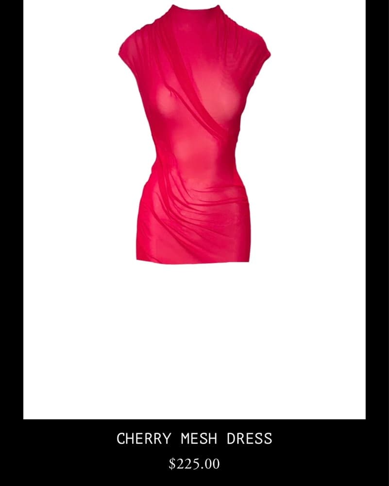 Strugala Cherry Mesh Dress - Image 1