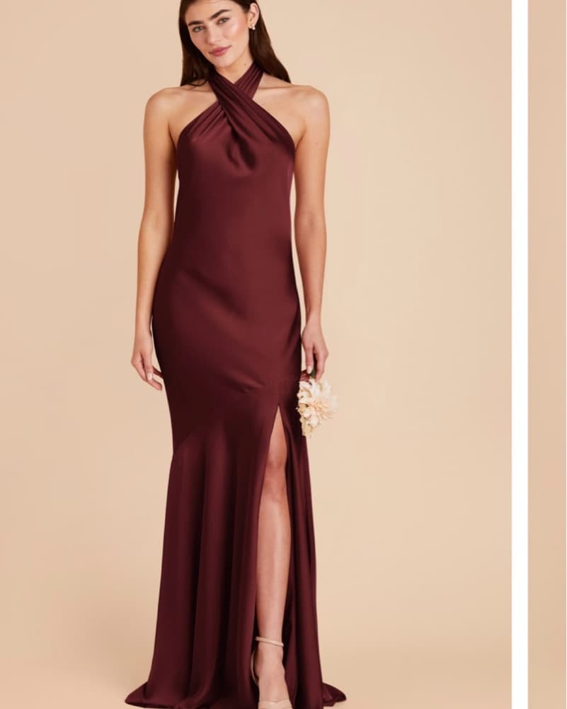 Birdy Grey Stephanie Dress  - Image 1