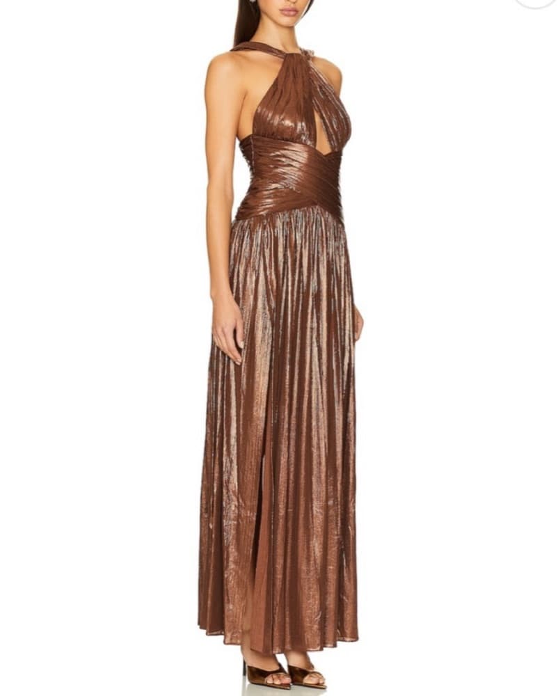 Metallic Brown Retrofete Gown - Image 3