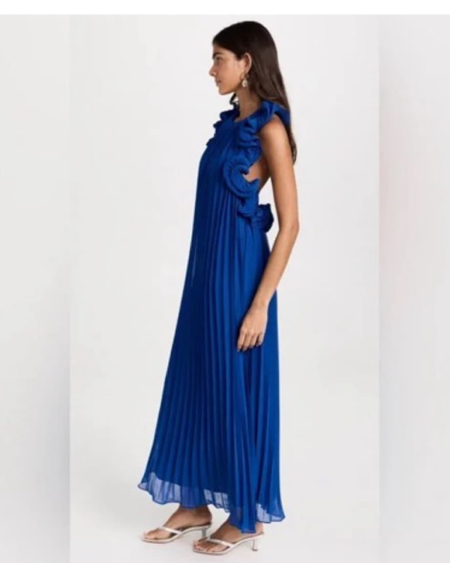 Amur Meray Pleated Halter Maxi Dress - Image 2