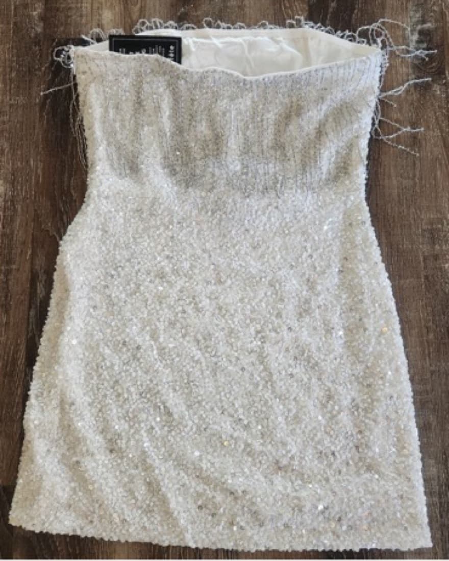 Retrofete Cassandra Sequin Fringe Dress - Image 3