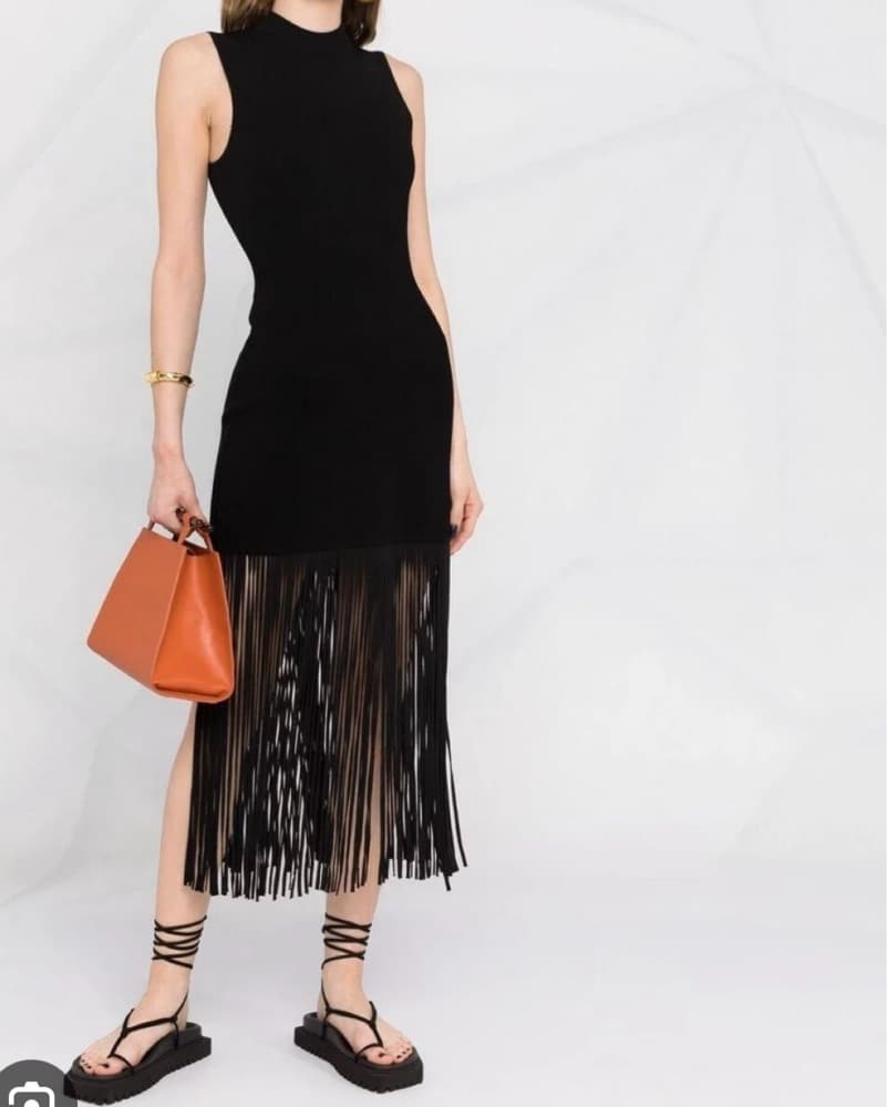 Sandro Knit Fringe dress - Image 1