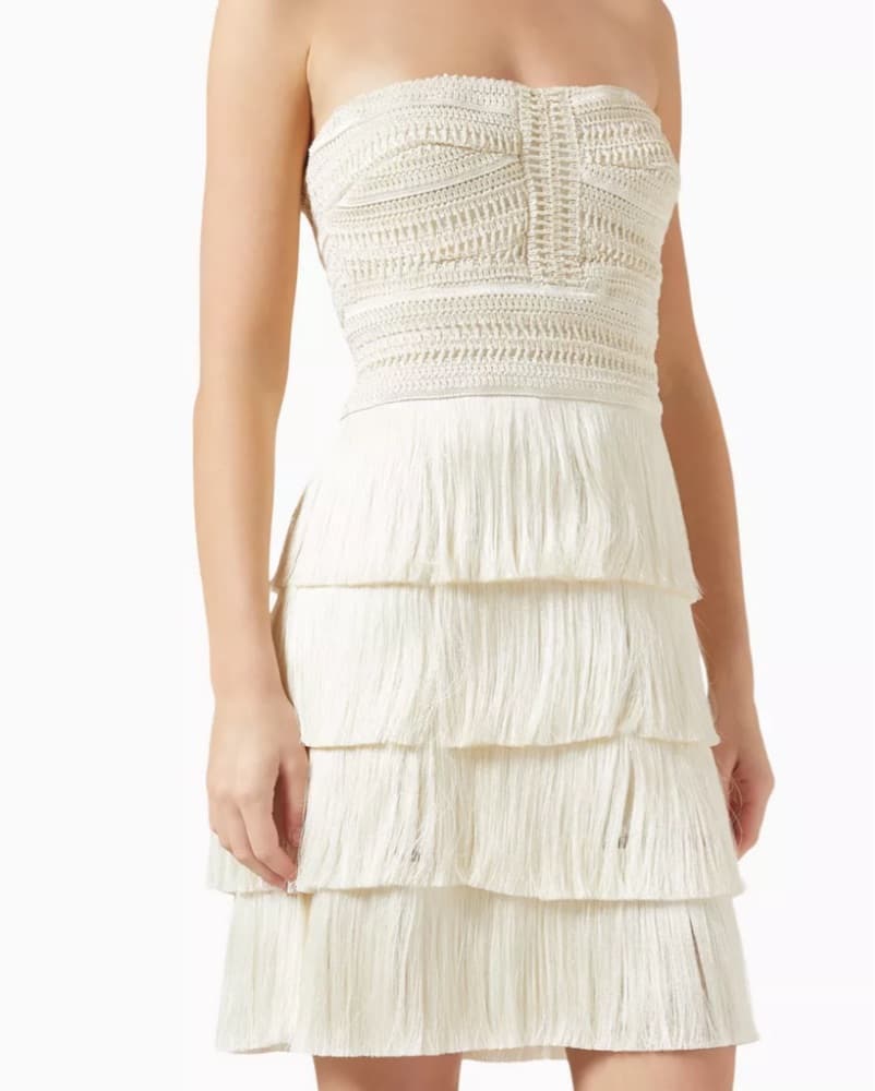 PatBo Crochet Fringe Mini Dress - Image 1
