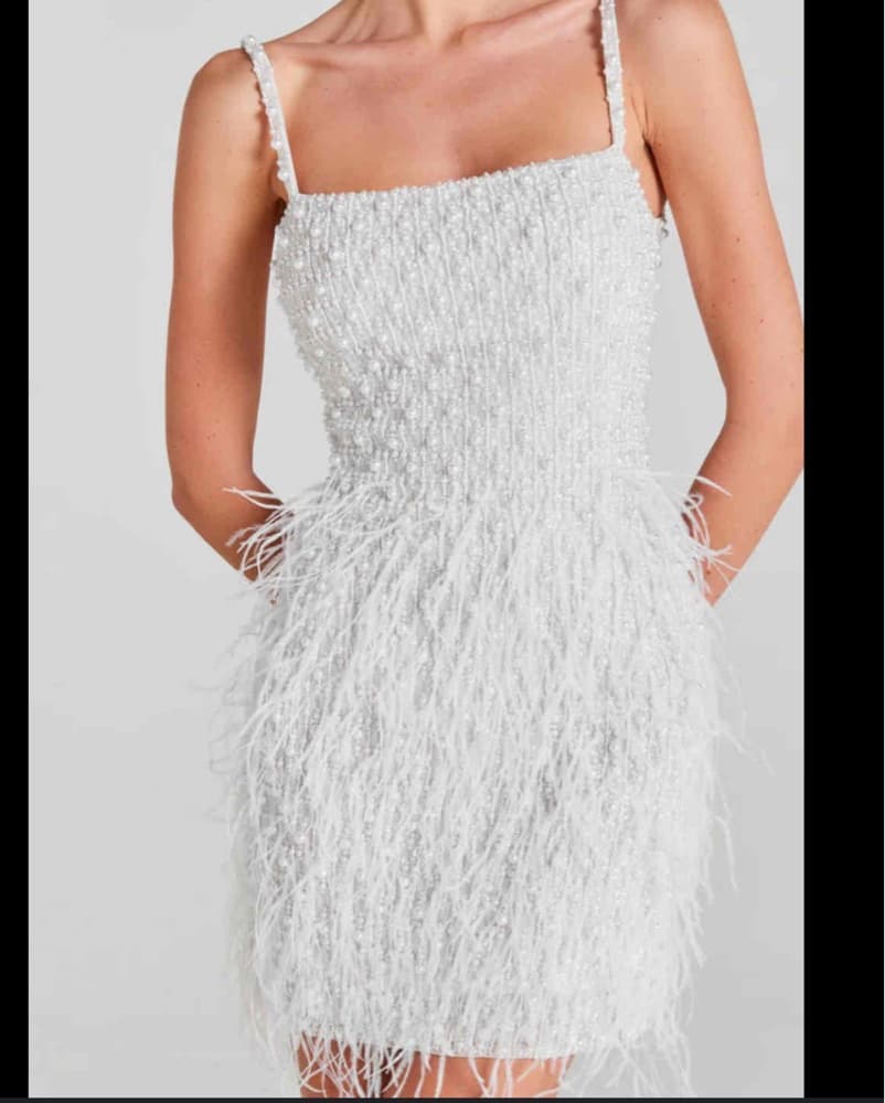 Nadine Merabi Embellished Dress  - Image 1