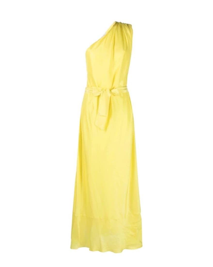 Forte Forte Silk Maxi Dress - Image 1