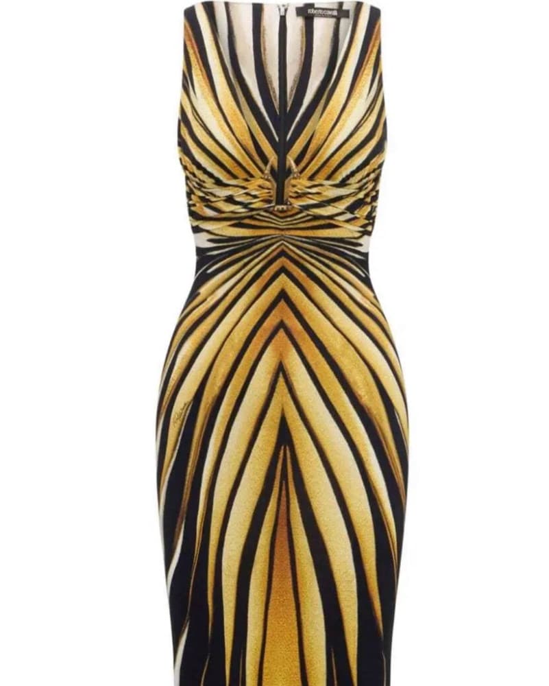 Roberto Cavalli Ray Of Gold Dress   - Image 4