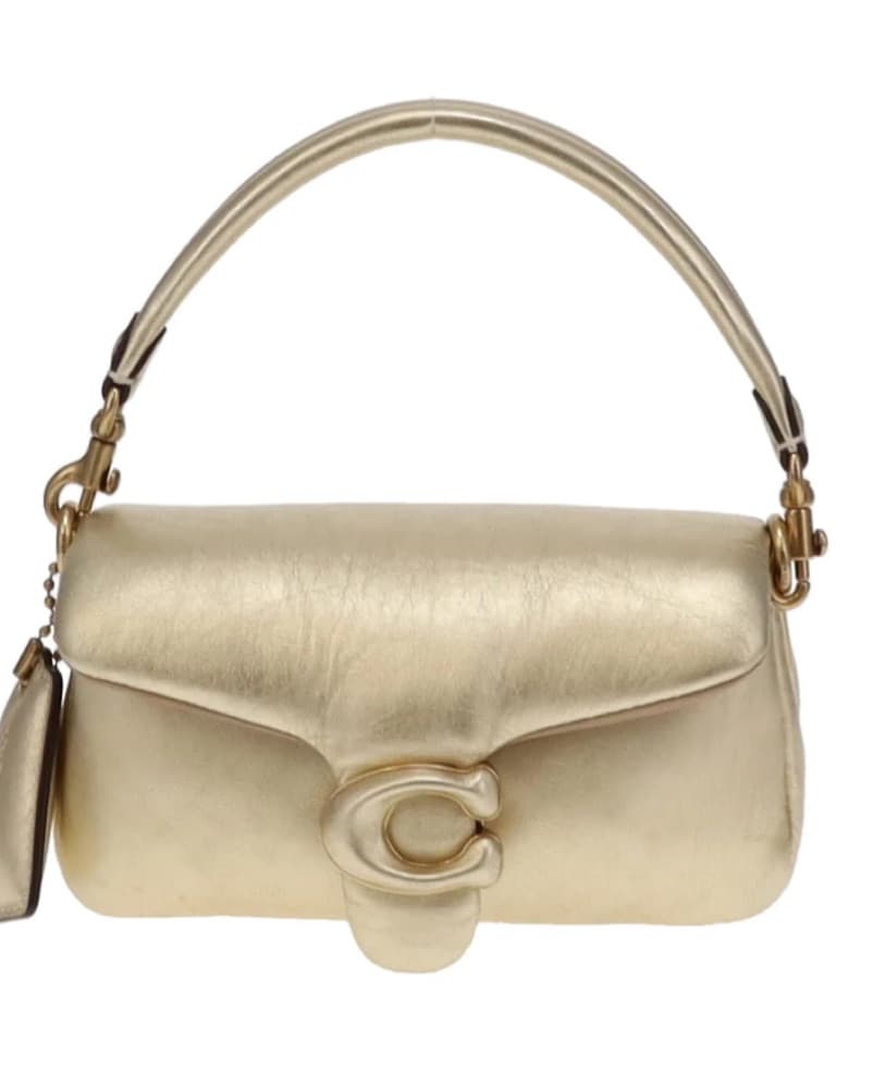 Coach Pillow Tabby 18 - Image 3