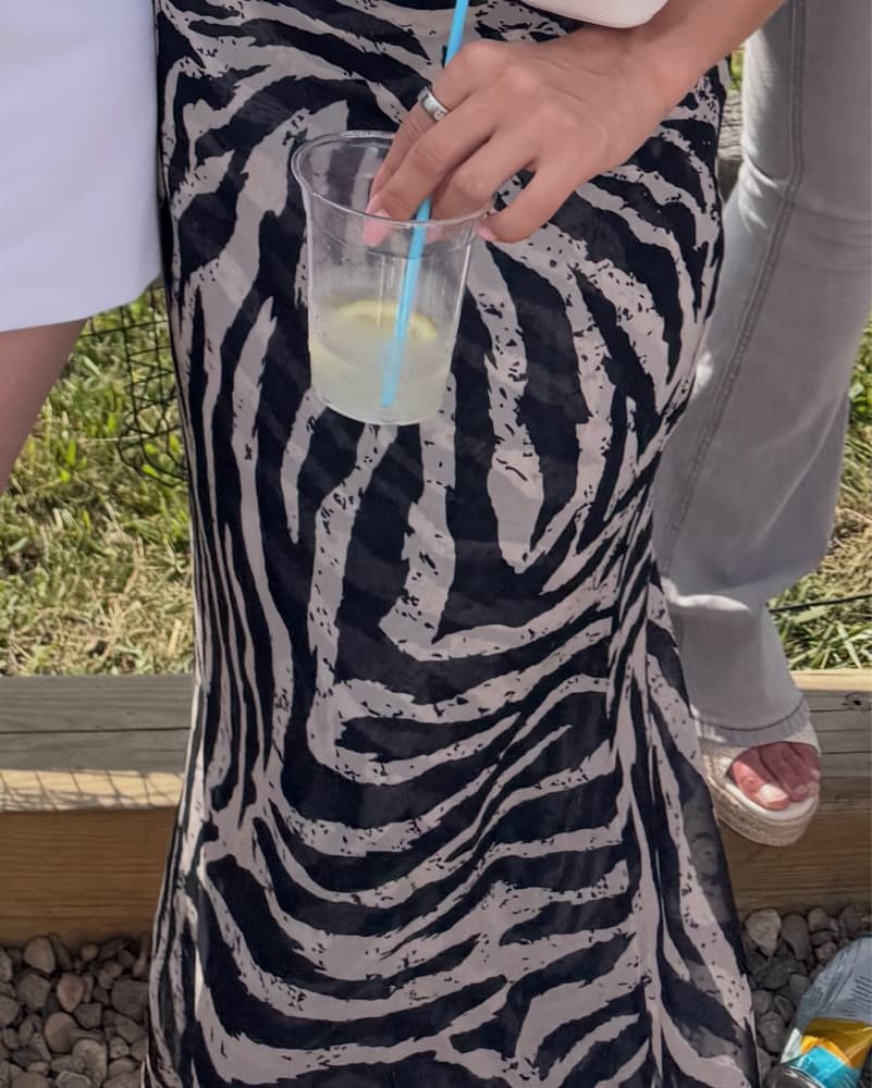 Princess Polly Zebra Maxi Skirt  - Image 2