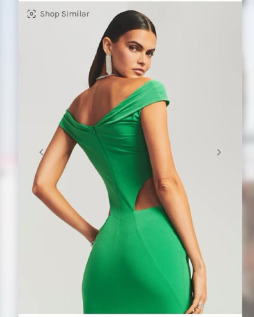 Retrofete Giada Off-the-Shoulder Gown - Image 5