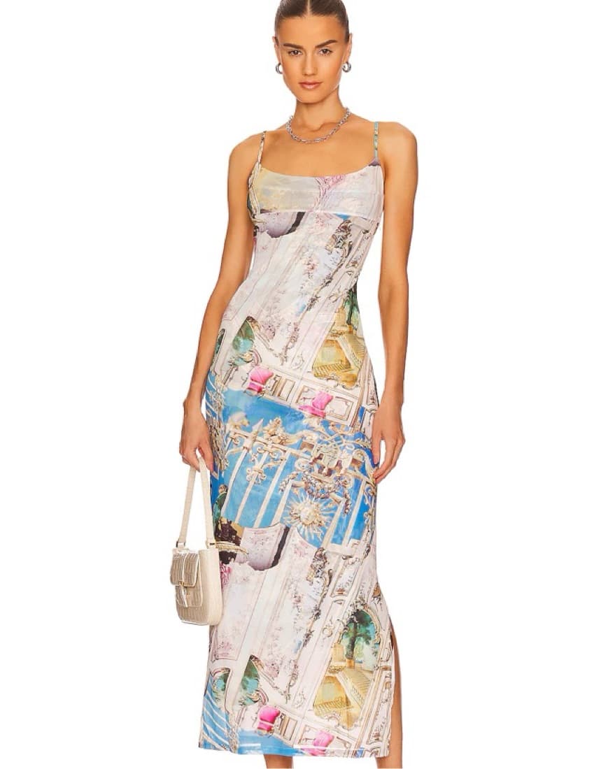 Miaou Baroque Print Maxi Dress - Image 1